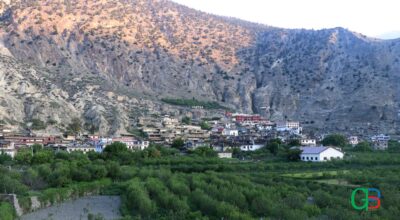 MarfaMustangApple-village-1