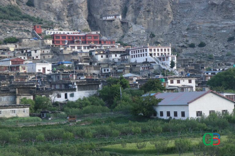 MarfaMustangApple-village-11