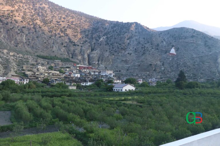 MarfaMustangApple-village-3