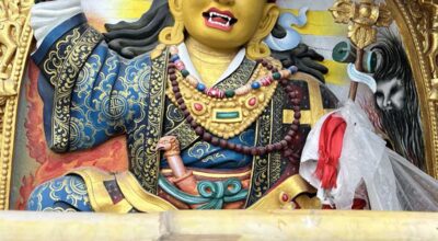 c493eee6-ef49-4b36-af60-b855828f3c54