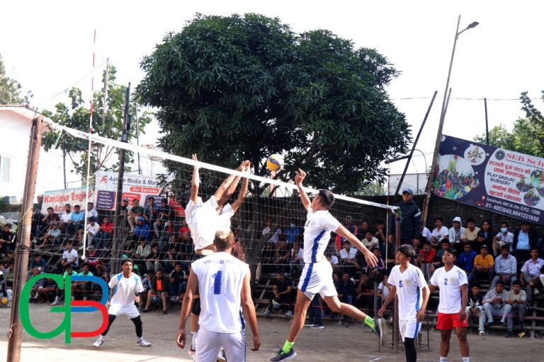 volleyball