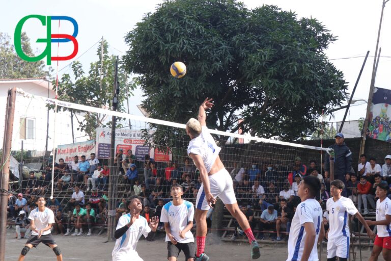 volleyball