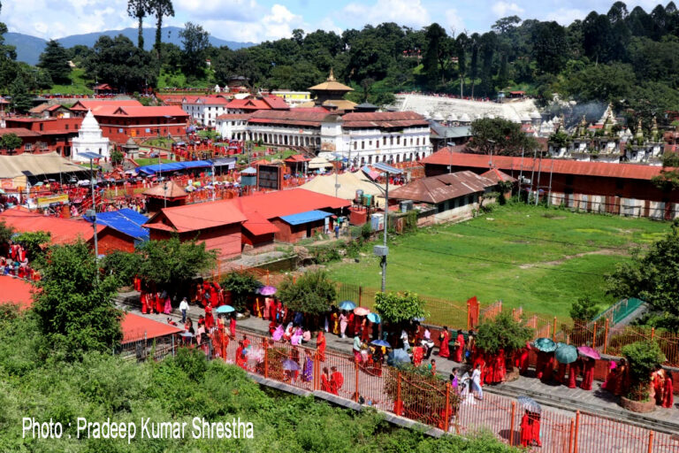 Teej_Pashupati_2081-6-1