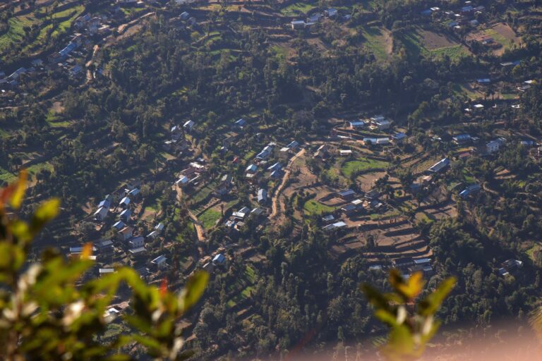 sunapati