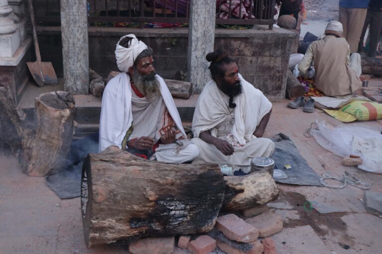 IMG_6916