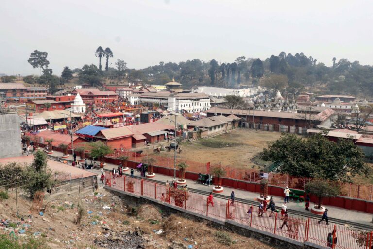 IMG_6989
