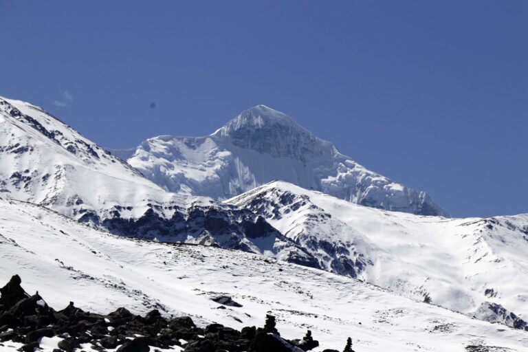 mountain nilgiri