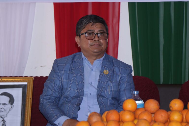 ananda shrestha