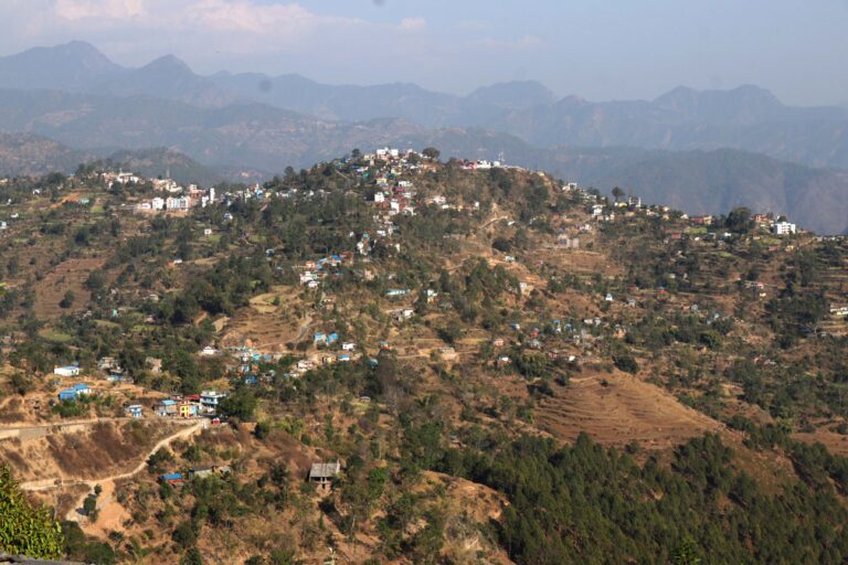 salyan