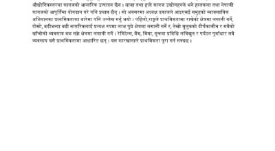 paper industry2 copy