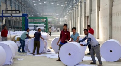 नेपाल पल्प एन्ड पेपर इन्डस्ट्रिज प्रालिमा  (11)-1