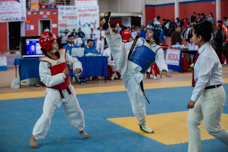 Mayor's Cup Taekwondo Competition  (10)