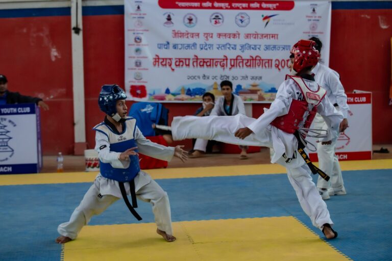 Mayor's Cup Taekwondo Competition  (24)