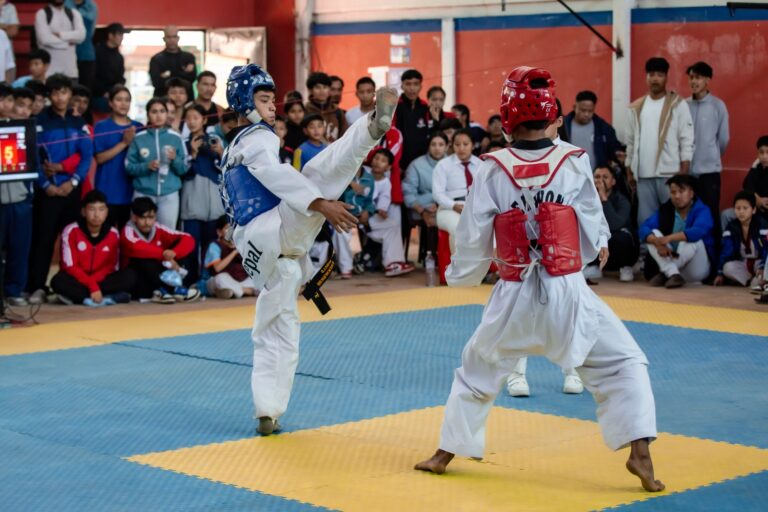 Mayor's Cup Taekwondo Competition  (3)
