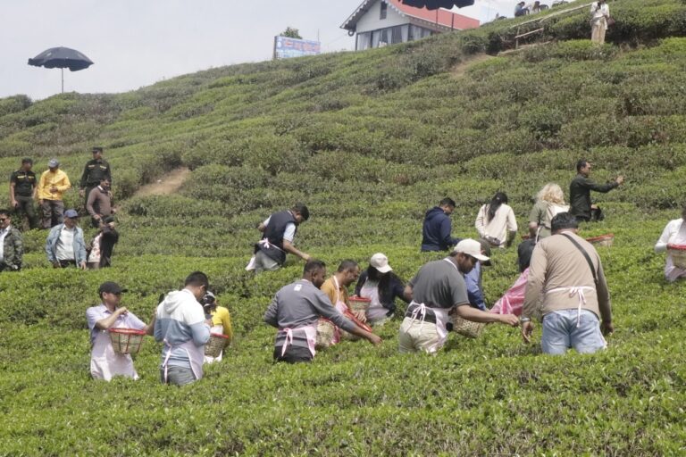 Tourist places of Ilam (1)