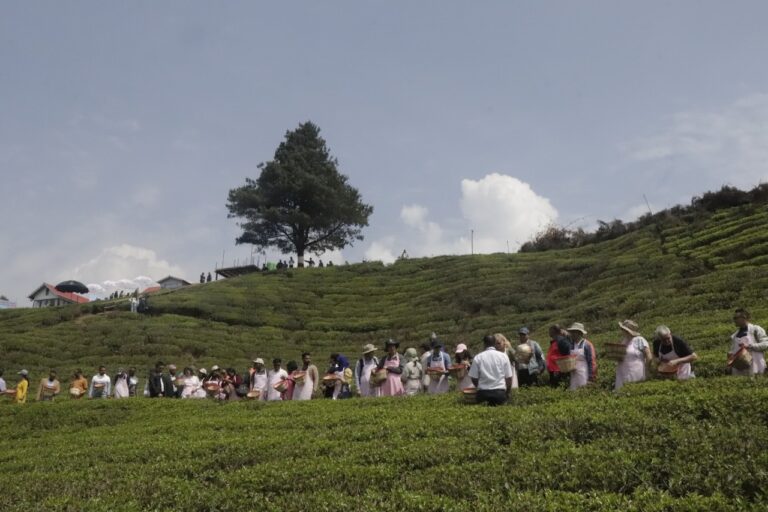Tourist places of Ilam (5)