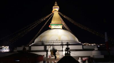 Bouddha Stupa #light bouddha stupa #night bouddha stupa (1)