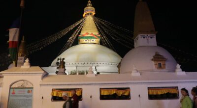 Bouddha Stupa #light bouddha stupa #night bouddha stupa (60)
