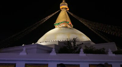Bouddha Stupa #light bouddha stupa #night bouddha stupa (70)