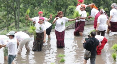 dhan diwas 2082 (15)