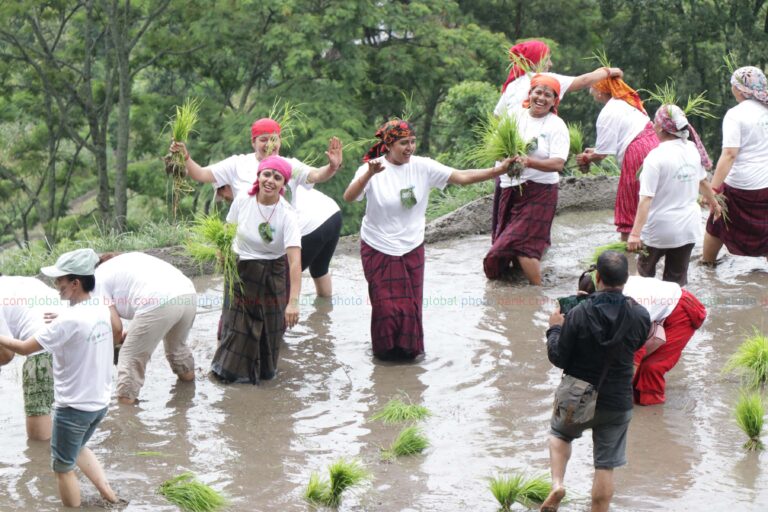 dhan diwas 2082 (15)