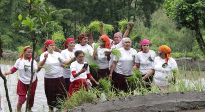 dhan diwas 2082 (16)