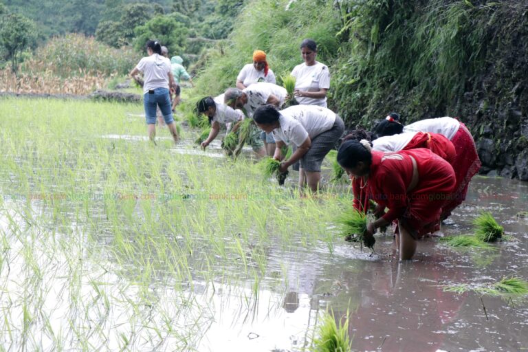 dhan diwas 2082 (17)