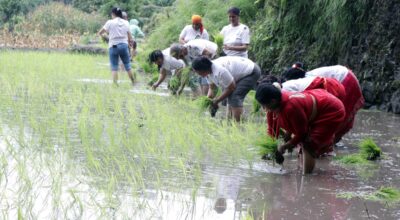 dhan diwas 2082 (17)