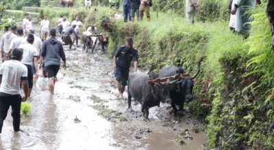 dhan diwas 2082 (19)