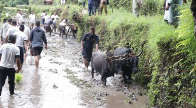 dhan diwas 2082 (19)