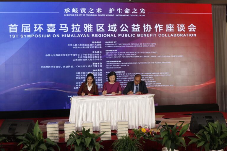 the traditional Chinese medicine system