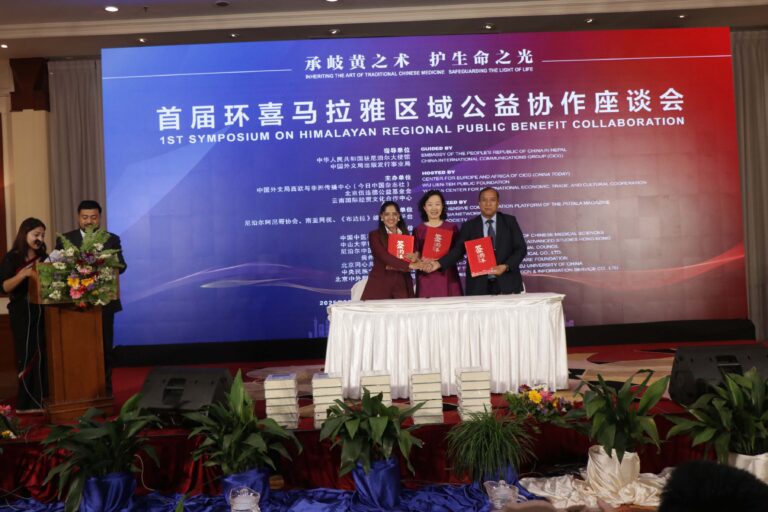 the traditional Chinese medicine system