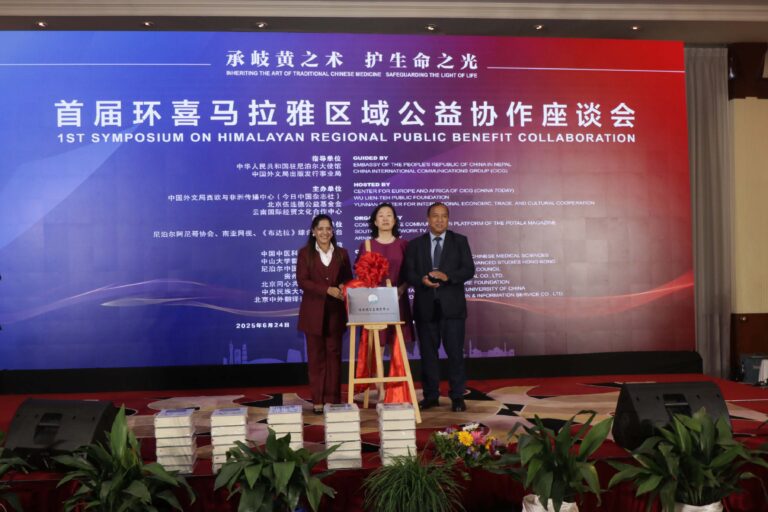 the traditional Chinese medicine system