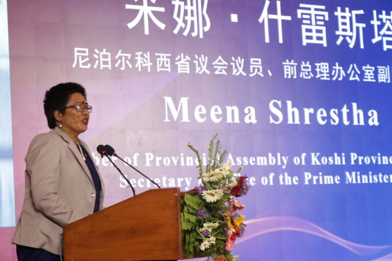 the traditional Chinese medicine system