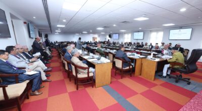 National Development Problem Solving Committee  (4)