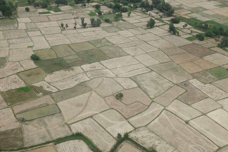 k.p sharma oli #terai  (2)