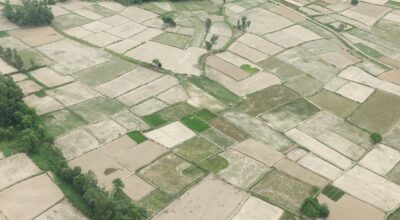 k.p sharma oli #terai  (3)-1