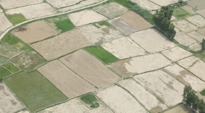 k.p sharma oli #terai  (8)-1