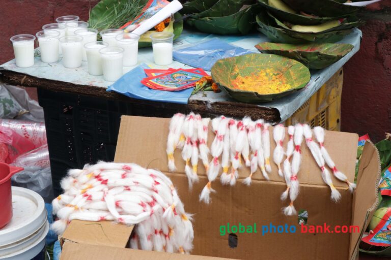 nag panchami