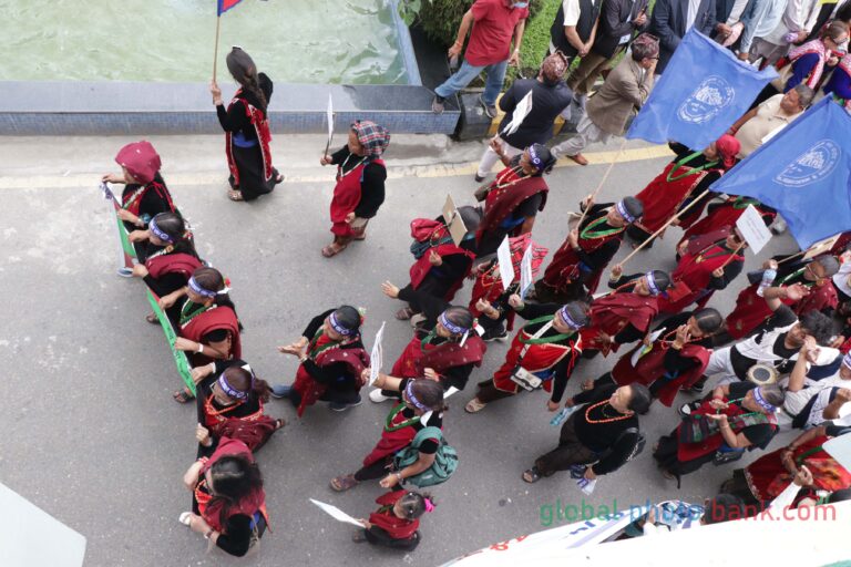 Federation of Nepal Indigenous Peoples