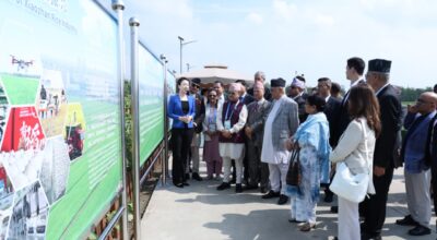 k.p sharma oli #jinan distric #rice product area (5)