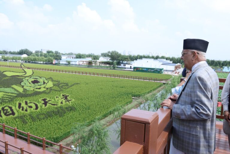 k.p sharma oli