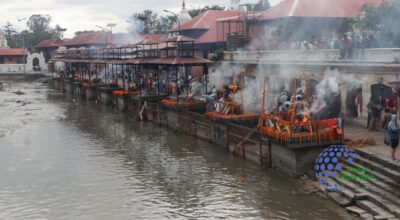 Shardhanjali photoes of gen-zs  protest  (1)