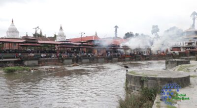 Shardhanjali photoes of gen-zs  protest  (5)
