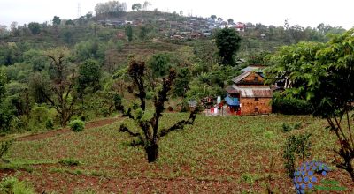 Rumsi homestay