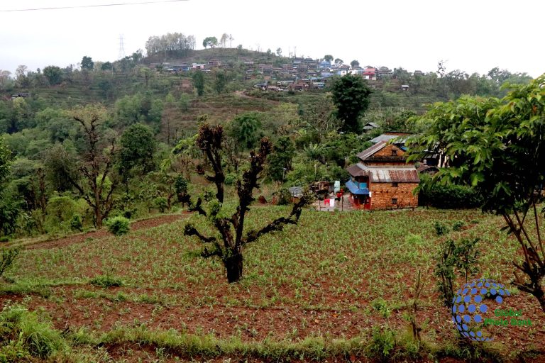 Rumshi homestay