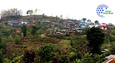Rumsi homestay