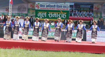 32th international dya world indigenius peopule 2026 (7)