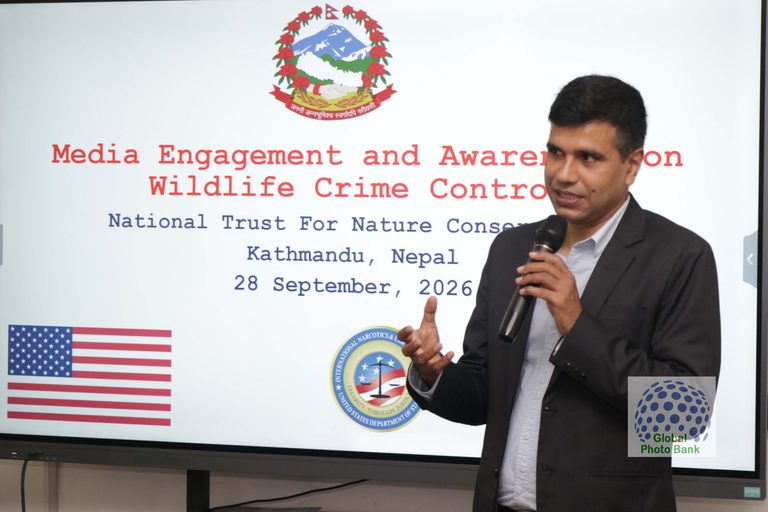 Wildlife Workshop