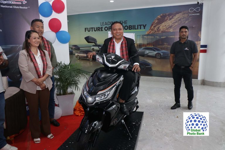 Electric Scooter